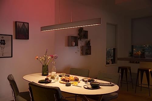 Philips Hue 929003053301 Lámpara led inteligente, Hue Ensis, Lámpara Colgante LED Inteligente, Luz Blanca y Luces de Colores, Compatible con Alexa y Google Home, Color Blanco